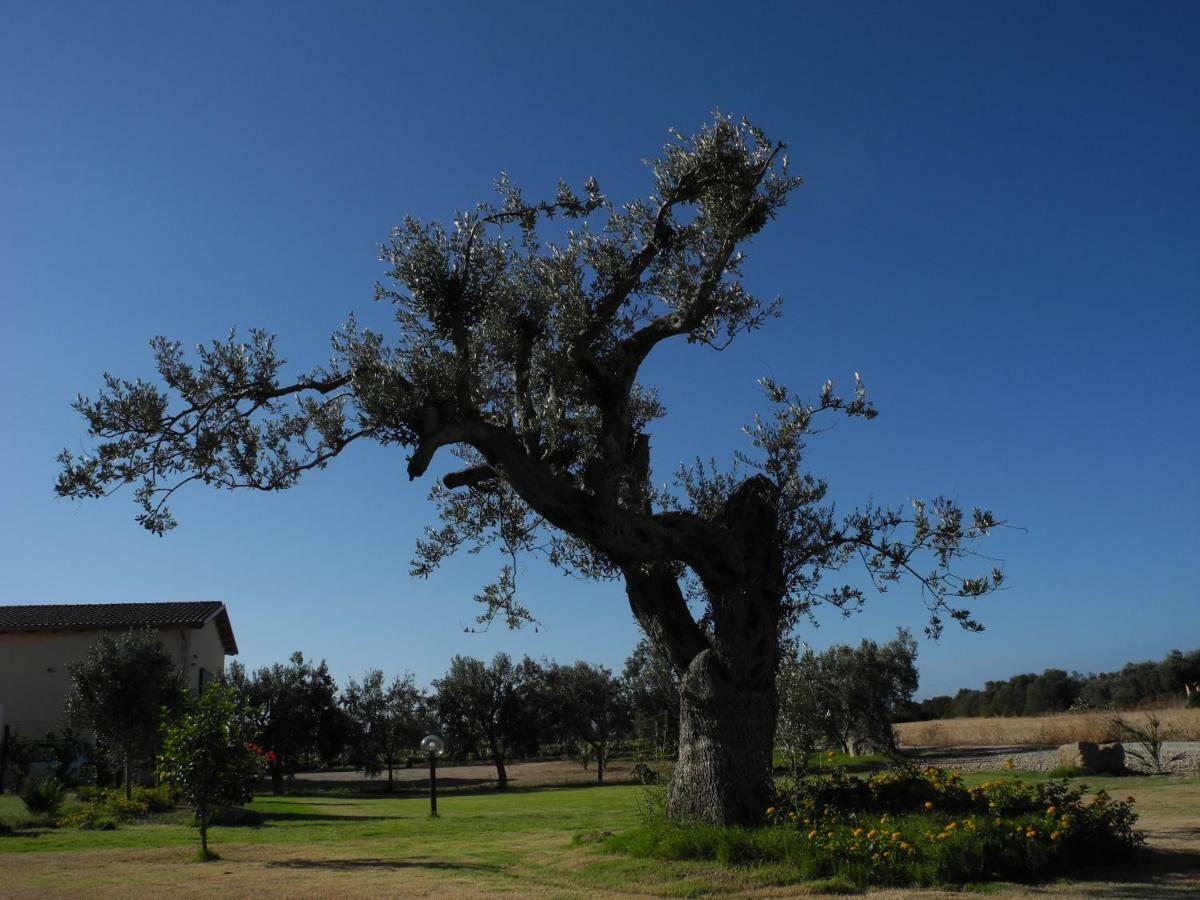 Agriturismo Is Solinas Masainas Exterior foto